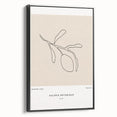 Modern Minimalist Art: Clean Line Botanical Minimalist Wall Art Print