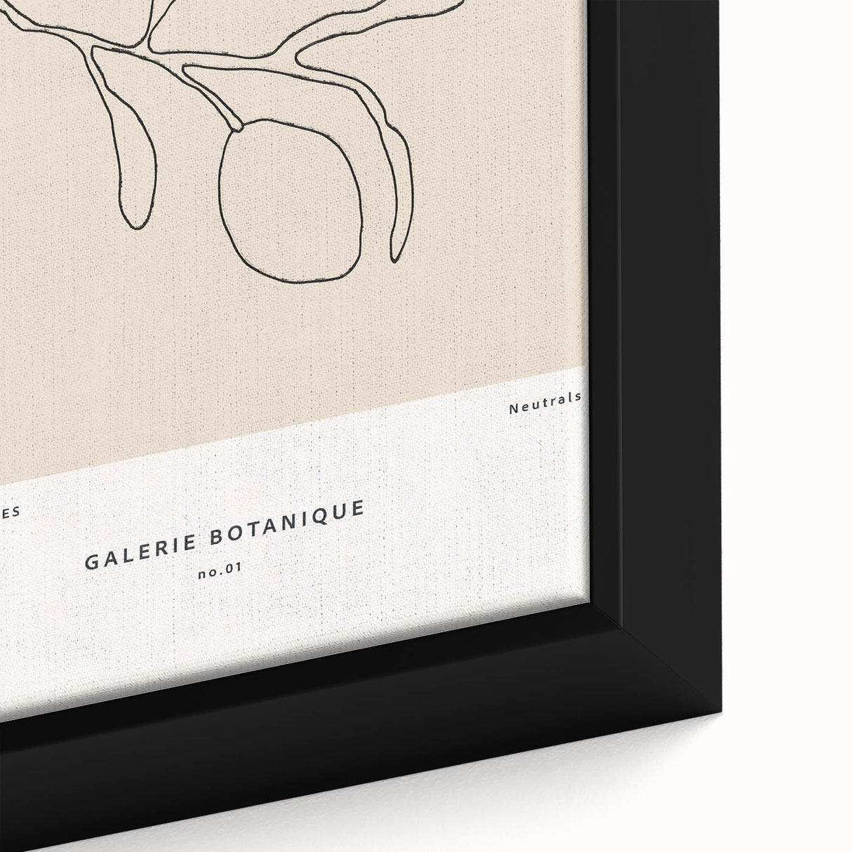 Modern Minimalist Art: Clean Line Botanical Minimalist Wall Art Print