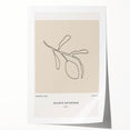 Modern Minimalist Art: Clean Line Botanical Minimalist Wall Art Print
