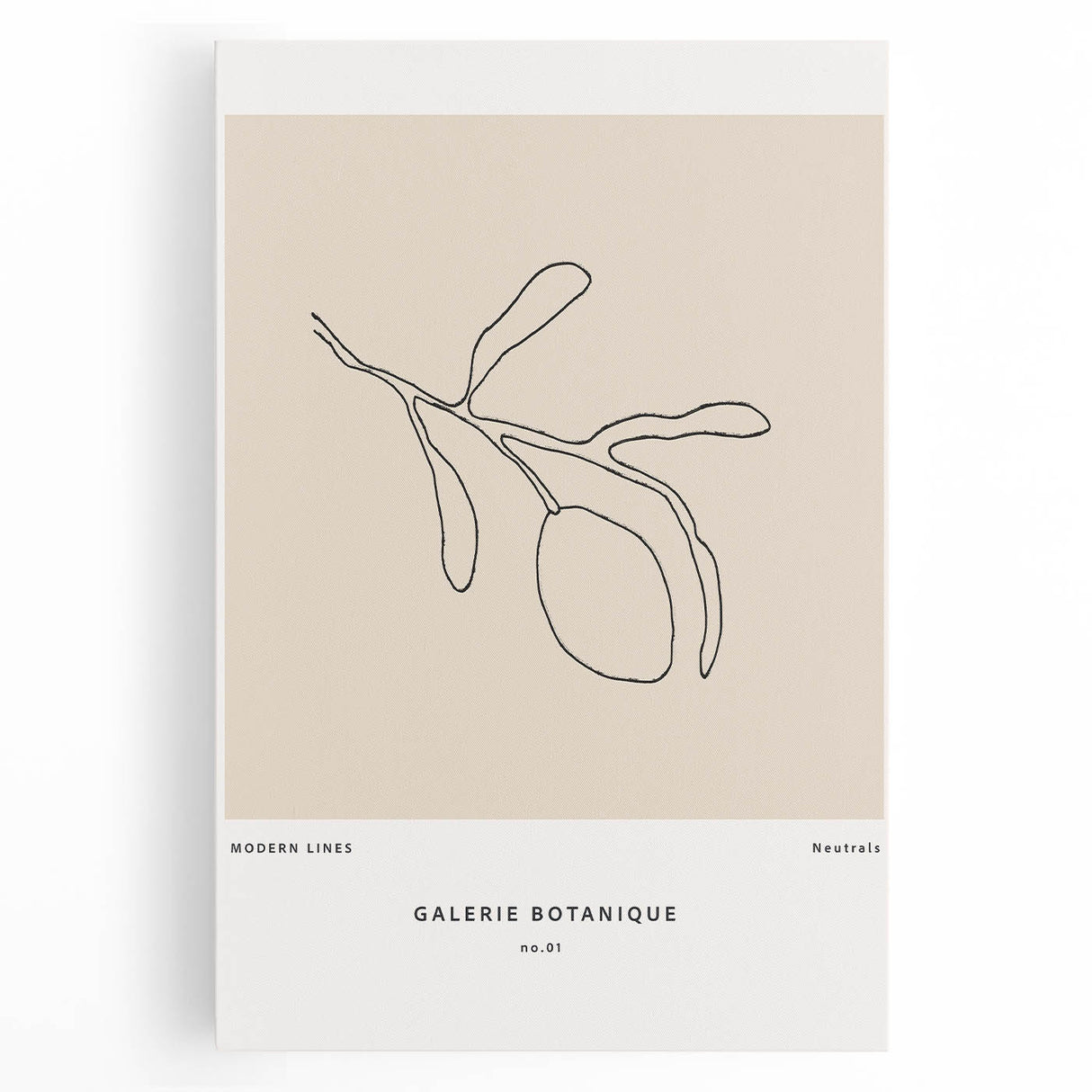 Modern Minimalist Art: Clean Line Botanical Minimalist Wall Art Print