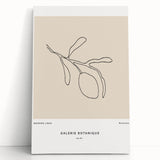 Modern Minimalist Art: Clean Line Botanical Minimalist Wall Art Print