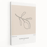 Modern Minimalist Art: Clean Line Botanical Minimalist Wall Art Print