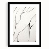 Minimalist Abstract Line Art: Flowing Organic Patterns in Black and White