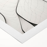 Minimalist Abstract Line Art: Flowing Organic Patterns in Black and White