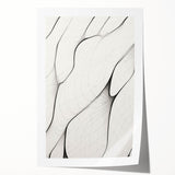 Minimalist Abstract Line Art: Flowing Organic Patterns in Black and White