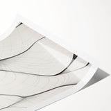 Minimalist Abstract Line Art: Flowing Organic Patterns in Black and White