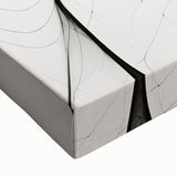 Minimalist Abstract Line Art: Flowing Organic Patterns in Black and White