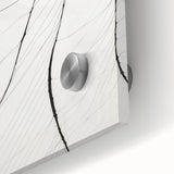 Minimalist Abstract Line Art: Delicate Organic Patterns in Black and White