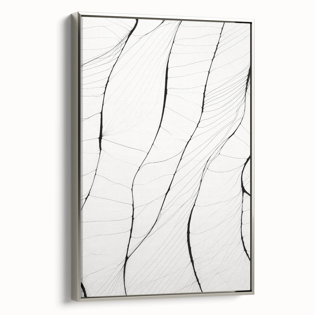Minimalist Abstract Line Art: Delicate Organic Patterns in Black and White