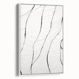 Minimalist Abstract Line Art: Delicate Organic Patterns in Black and White