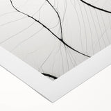 Minimalist Abstract Line Art: Delicate Organic Patterns in Black and White