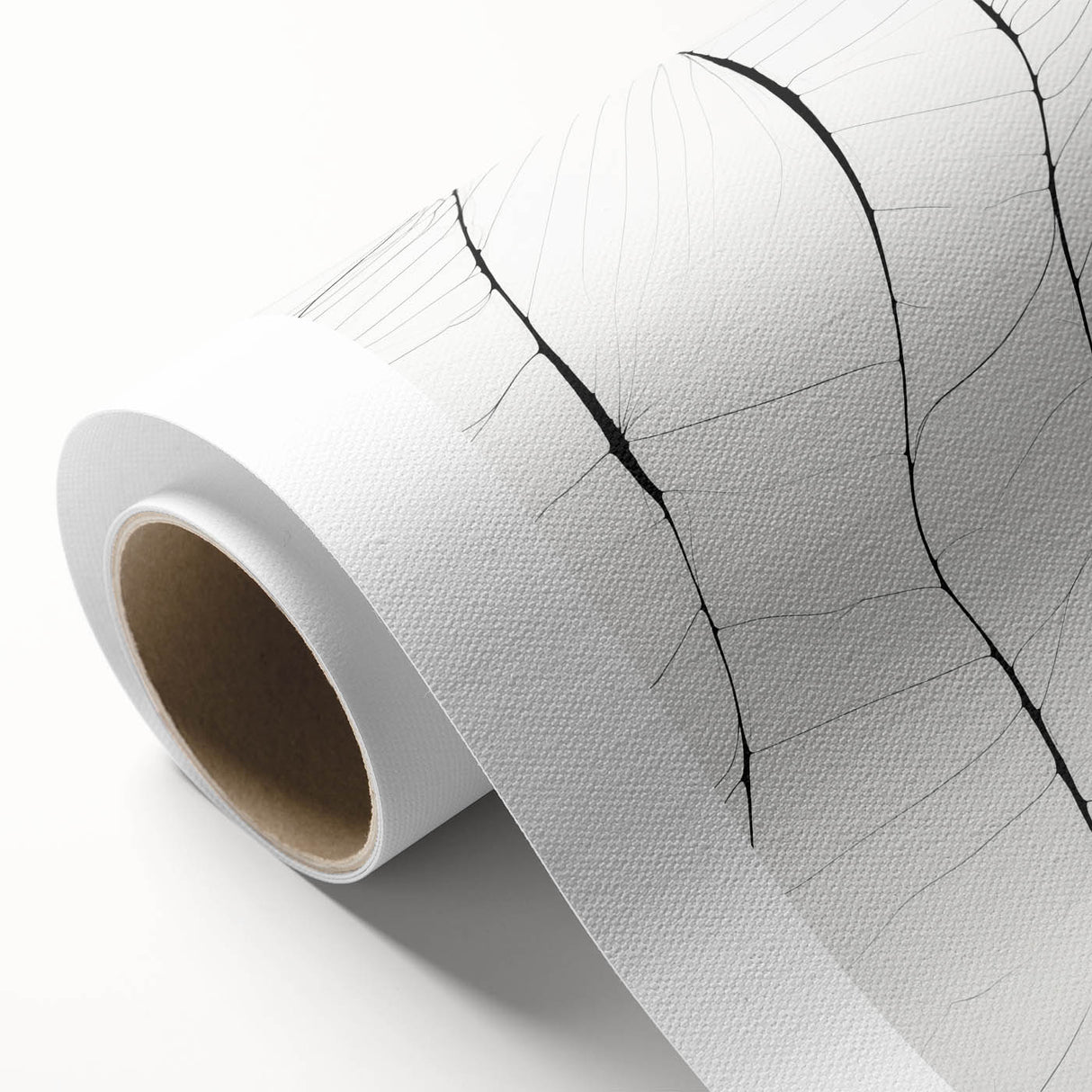 Minimalist Abstract Line Art: Delicate Organic Patterns in Black and White
