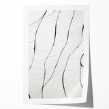 Minimalist Abstract Line Art: Delicate Organic Patterns in Black and White