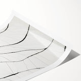 Minimalist Abstract Line Art: Delicate Organic Patterns in Black and White