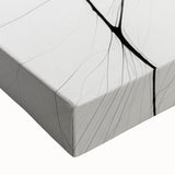 Minimalist Abstract Line Art: Delicate Organic Patterns in Black and White