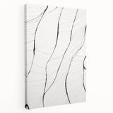 Minimalist Abstract Line Art: Delicate Organic Patterns in Black and White