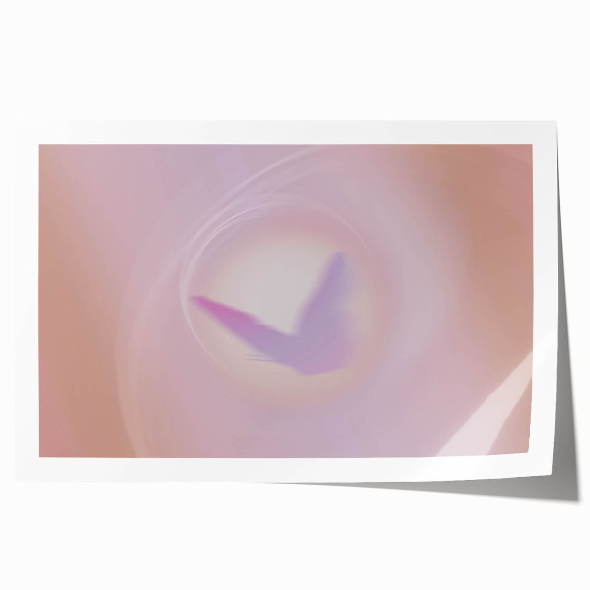 Nature-Inspired Grainy Gradients with Artistic Texture in Pastel Hues