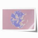 Abstract Nature-Inspired Gradient Flower Art with Soft Pastel Hues