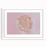 Abstract Floral Nature-Inspired Gradient Art with Soft Earthy Tones