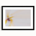 Abstract Nature-Inspired Wall Art with Soft Yellow and White Gradients