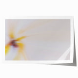 Abstract Nature-Inspired Wall Art with Soft Yellow and White Gradients