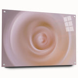 Nature-Inspired Abstract Swirl Wall Art with Soft Beige Gradients