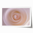 Nature-Inspired Abstract Swirl Wall Art with Soft Beige Gradients