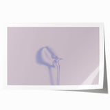 Minimalist Nature-Inspired Wall Art with Subtle Lilac and Gray Hues