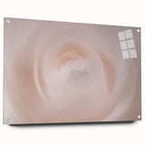Nature-Inspired Abstract Swirl Wall Art with Soft Beige and White Hues