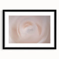 Nature-Inspired Abstract Swirl Wall Art with Soft Beige and White Hues
