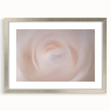 Nature-Inspired Abstract Swirl Wall Art with Soft Beige and White Hues
