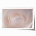 Nature-Inspired Abstract Swirl Wall Art with Soft Beige and White Hues