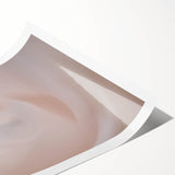 Nature-Inspired Abstract Swirl Wall Art with Soft Beige and White Hues