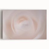 Nature-Inspired Abstract Swirl Wall Art with Soft Beige and White Hues