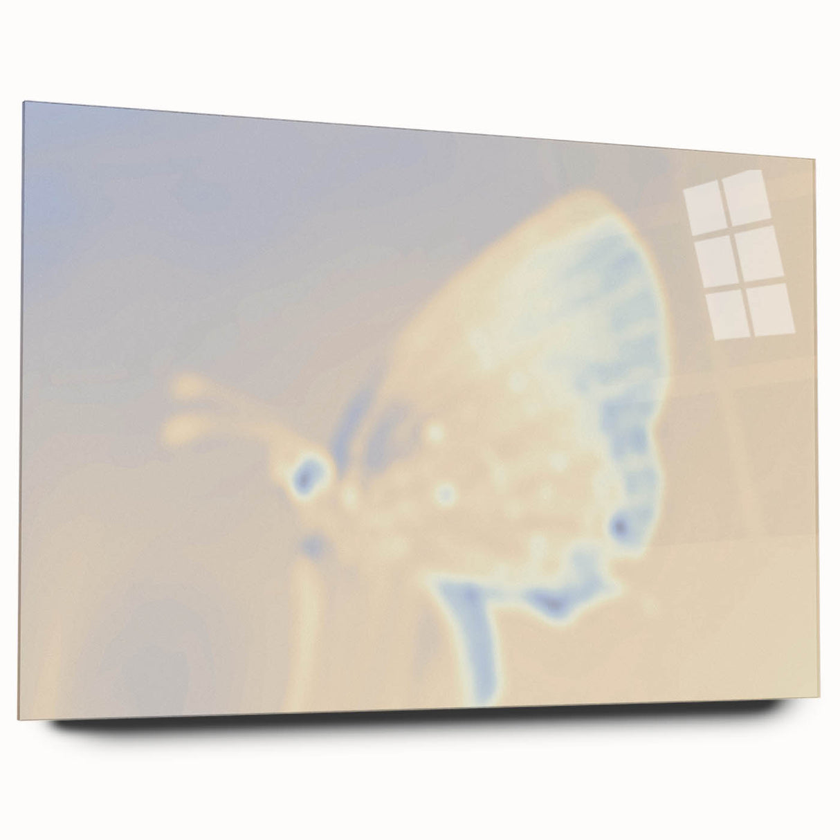 Nature-Inspired Grainy Gradients | Abstract Butterfly Textured Art