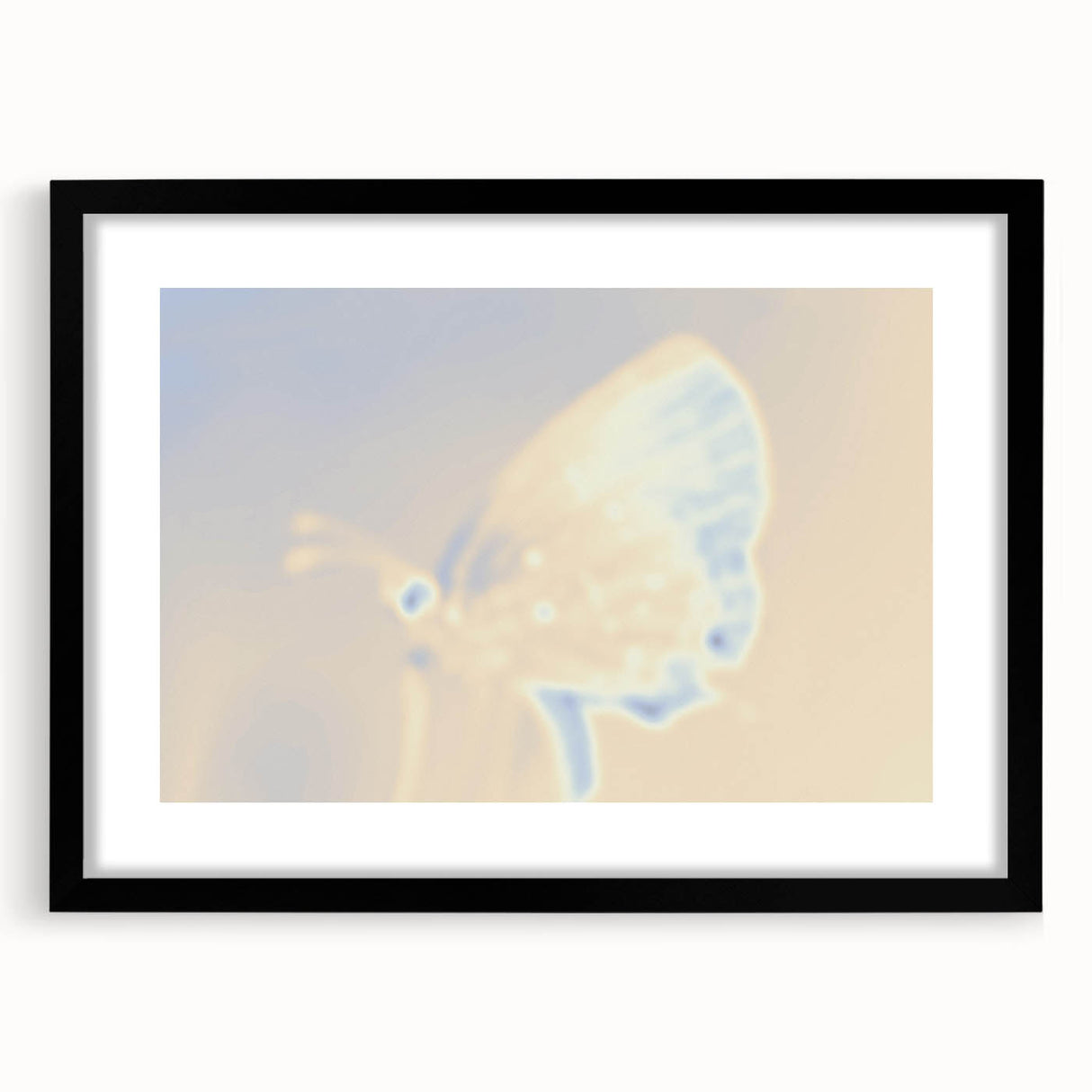 Nature-Inspired Grainy Gradients | Abstract Butterfly Textured Art