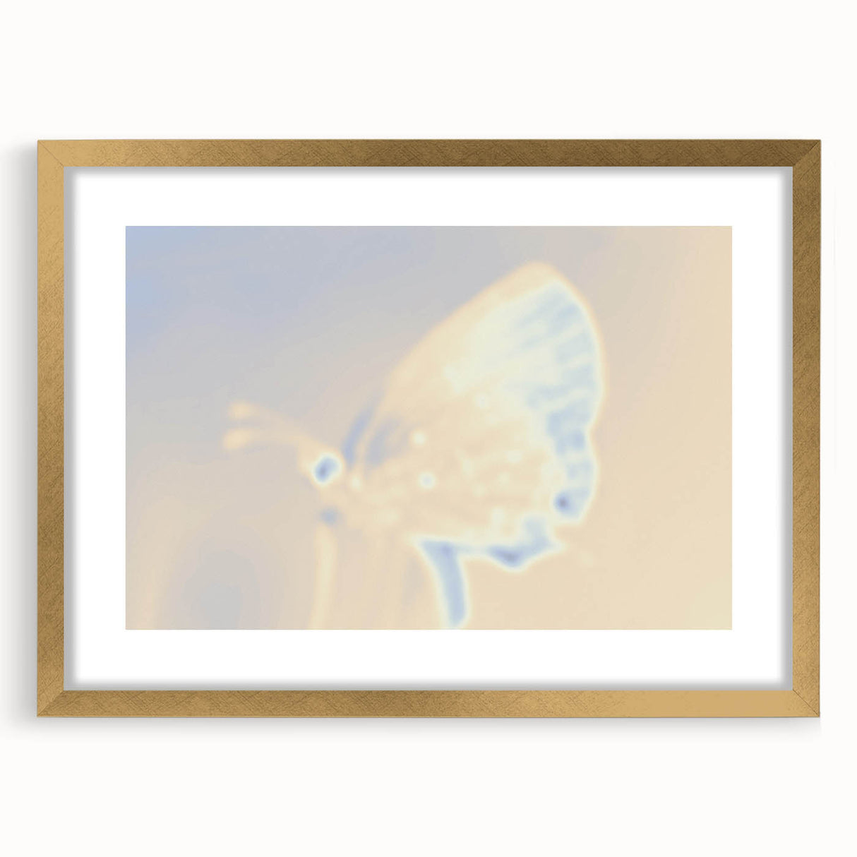 Nature-Inspired Grainy Gradients | Abstract Butterfly Textured Art