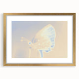 Nature-Inspired Grainy Gradients | Abstract Butterfly Textured Art