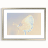 Nature-Inspired Grainy Gradients | Abstract Butterfly Textured Art