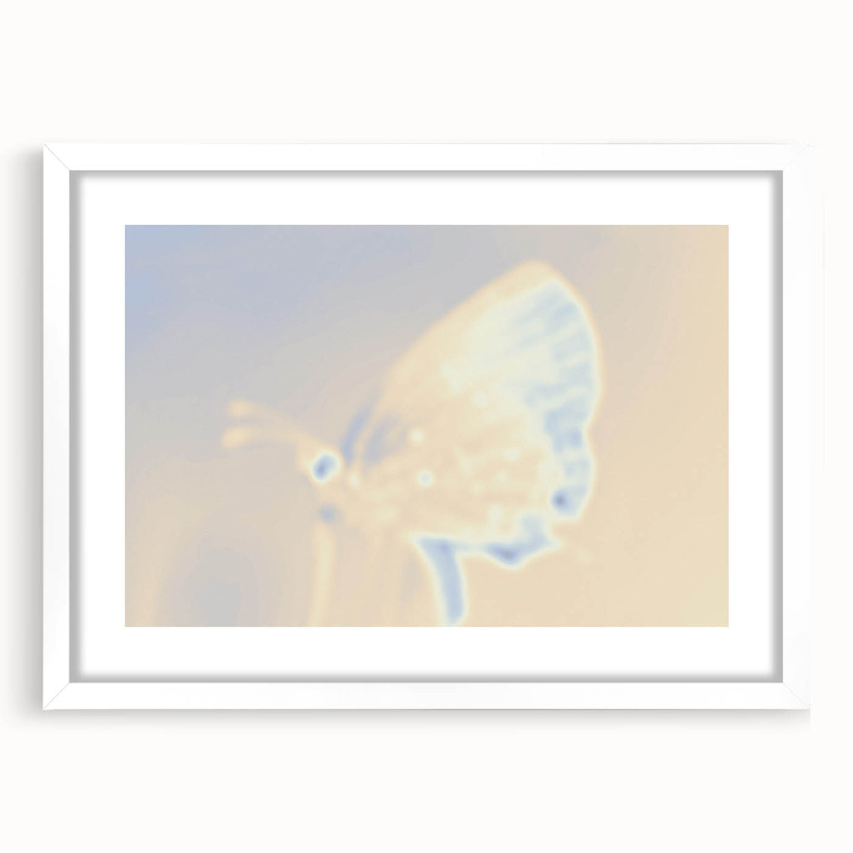 Nature-Inspired Grainy Gradients | Abstract Butterfly Textured Art