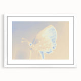 Nature-Inspired Grainy Gradients | Abstract Butterfly Textured Art