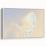 Nature-Inspired Grainy Gradients | Abstract Butterfly Textured Art