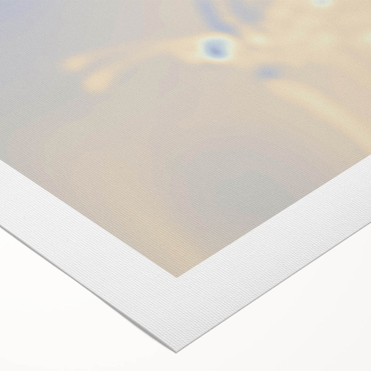 Nature-Inspired Grainy Gradients | Abstract Butterfly Textured Art
