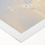 Nature-Inspired Grainy Gradients | Abstract Butterfly Textured Art