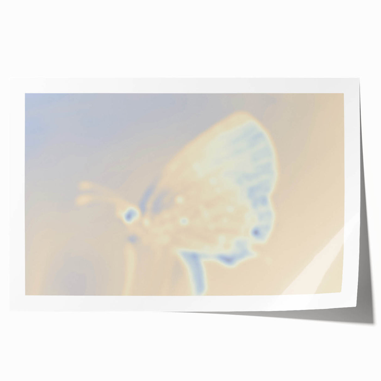 Nature-Inspired Grainy Gradients | Abstract Butterfly Textured Art