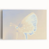 Nature-Inspired Grainy Gradients | Abstract Butterfly Textured Art