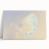 Nature-Inspired Grainy Gradients | Abstract Butterfly Textured Art