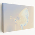 Nature-Inspired Grainy Gradients | Abstract Butterfly Textured Art