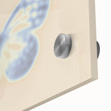 Nature-Inspired Gradient Butterfly Art | Abstract Textured Wall Décor