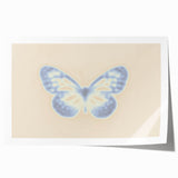 Nature-Inspired Gradient Butterfly Art | Abstract Textured Wall Décor